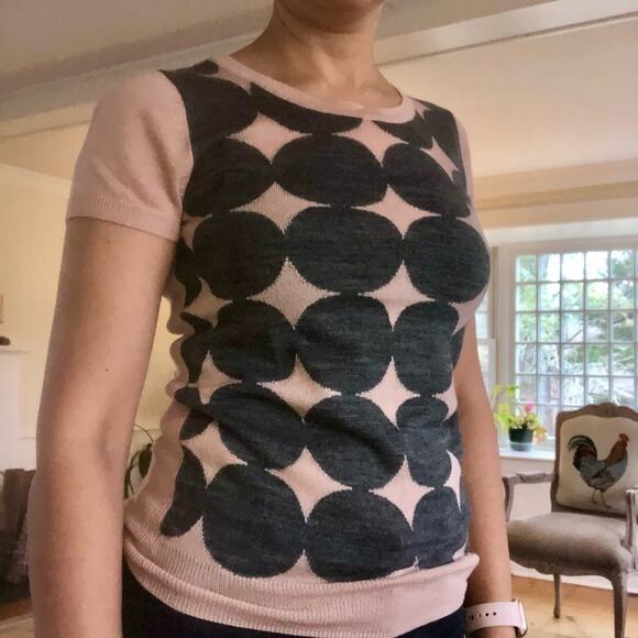 The Limited Pink Gray Short Sleeve Sweater Top Women’s XS Fall Layering Piece - Picture 3 of 9